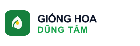Logo Giống Hoa Dũng Tâm